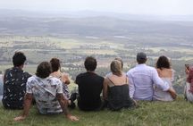 Hop on Hop Off Bus - Tamborine Mountain