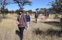 Matobo Rhino Encounter 
