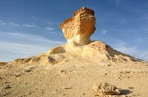  Full-Day Tour Qatar North And West