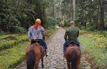 Medellin Horse ride coffee tour and spa