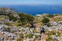 Hiking Mountain Akramitis Rhodes - pick up service available