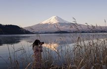 Private Unforgettable Mt Fuji Tour with English Speaking Driver