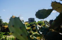 Tulum Ruins & Turtles Swim! Round Transportation From Cancun & Riviera Maya