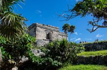 Turtle Swim & Tulum Ruins! Round Transportation from Playa del Carmen