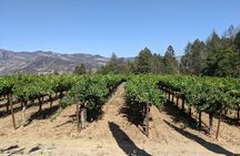 8 Hour Napa and Sonoma Valley tour