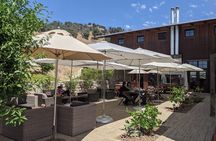 8 Hour Napa and Sonoma Valley tour