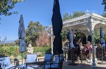 8 Hour Napa and Sonoma Valley tour