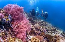 PADI Advanced Open Water Course Kota Kinabalu
