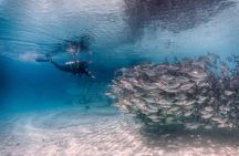 (2 Dives) Discover Scuba Diving Kota Kinabalu