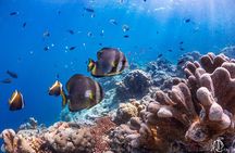 PADI Advanced Open Water Course Kota Kinabalu