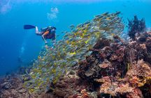 (3 Days) PADI Open Water Diver Course Kota Kinabalu