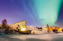 Rovaniemi Santa Claus Village Husky Reindeer Farm Arctic Museum
