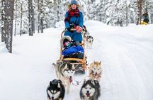 Snowy Trails 10km Husky Safari from Rovaniemi 