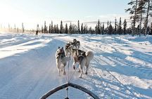 Snowy Trails 10km Husky Safari from Rovaniemi 