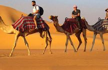 Dubai Desert Half-Day Sunset Camel Ride & BBQ Dinner