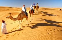 Dubai Desert Half-Day Sunset Camel Ride & BBQ Dinner