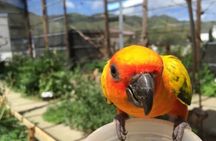 Sint Maarten Island Private Tours