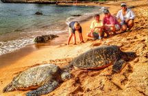 3 Hour Sightseeing *SPECIALTY Tour