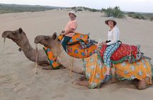 Pleasant Non-Touristic Overnight Camel Safari (From 2:00 PM to Approx. 10:30AM)