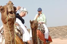 Pleasant Non-Touristic Overnight Camel Safari (From 2:00 PM to Approx. 10:30AM)