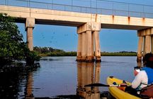 2 Hour Tarpon Springs Sunset and Night Guided Kayak Tour
