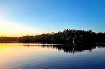2 Hour Tarpon Springs Sunset and Night Guided Kayak Tour