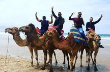 Private Full Day Trip of Tangier 