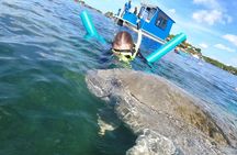 Small Group Manatee Snorkel Tour with In-Water Guide and Photographer