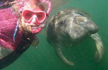 VIP Private Boat Manatee Snorkel Tour with In-Water Guide and Photograper