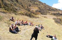 Half-Day Private Tour in Valle de las Animas and Palca Canyon