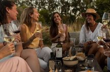 Tasting in two wineries + full lunch. Transfer included