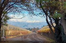 Tasting in two wineries + full lunch. Transfer included