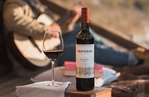 Tasting in two wineries + full lunch. Transfer included