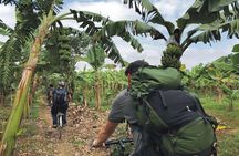 Hanoi Countryside in Banana Island - Top Tours & Activities