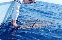 Offshore Fishing trip (Deep sea fishing)
