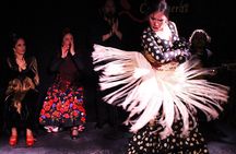 Madrid Local Tapas, Wine Bars & Flamenco Show