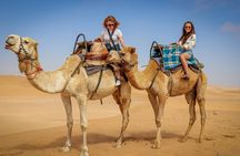 Dubai Red Dune Camel Trekking, Desert Safari and BBQ Dinner 