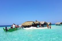 Private Tour to Paradise Island with Snorkel & Manatee Sanctuary