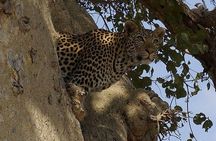 3 Days 2 Nights Mikumi National Park from Dar es salaam road trip