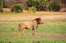 3 Days 2 Nights Mikumi National Park from Dar es salaam road trip