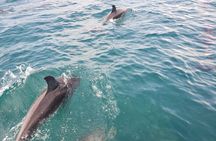 Jacksonville Private Boat Tour Daytime or Sunset, up to 6 people