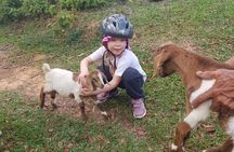 The Ultimate Dominican Horseback Riding Adventure