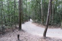 Cu Chi Tunnels Private Tour With A Local Expert
