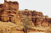 Private Tour to Charyn Canyons