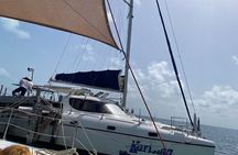Isla Mujeres Basic Tour in Catamaran with Snorkel and Open Bar