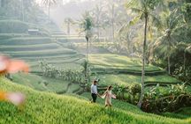 Best of Ubud Tour - Private and All-Inclusive