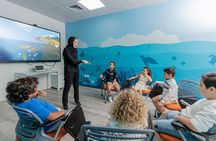 The National Aquarium Abu Dhabi Admission Tickets