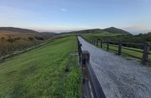 Small-Group: Beitou and Yangmingshan Day Tour from Taipei