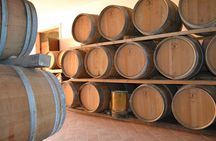 Amarone Della Valpolicella Wine Experience - Meet the Vogadori Family