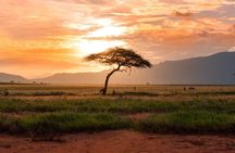 6 Days of Kenyan Wonders: Amboseli, Lake Nakuru, and Masai Mara